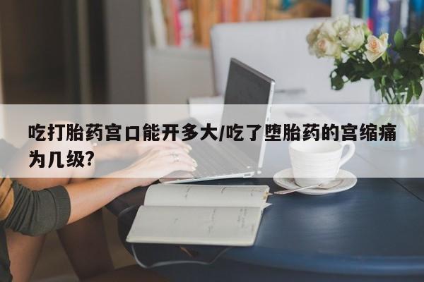 流产药网上怎么购买吃打胎药宫口能开多大/吃了堕胎药的宫缩痛为几级?