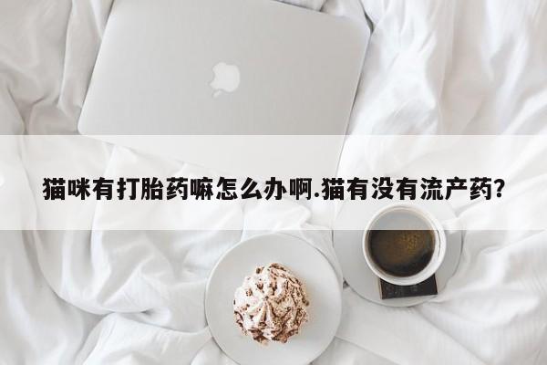 流产药网上怎么购买猫咪有打胎药嘛怎么办啊.猫有没有流产药？