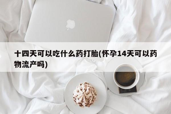 流产药网上怎么购买十四天可以吃什么药打胎(怀孕14天可以药物流产吗)